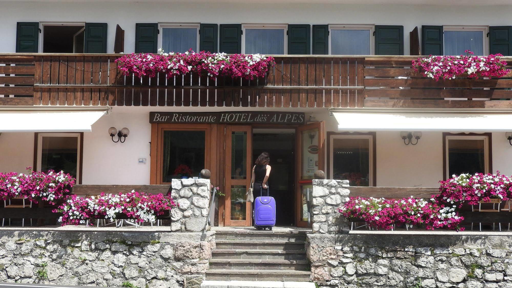 Hotel Des Alpes Cortina dʼAmpezzo Esterno foto